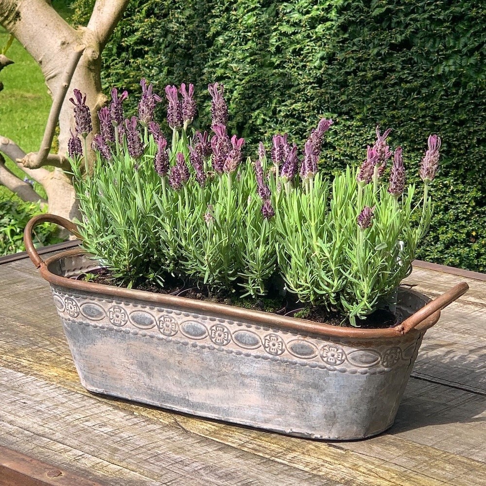 Zinktopf Pflanztopf Zink Blumentopf Oval Lang mit Griffen Landhausstil 40cm günstig online kaufen